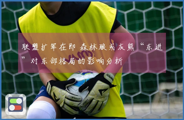 联盟扩军在即 森林狼或灰熊“东进”对东部格局的影响分析