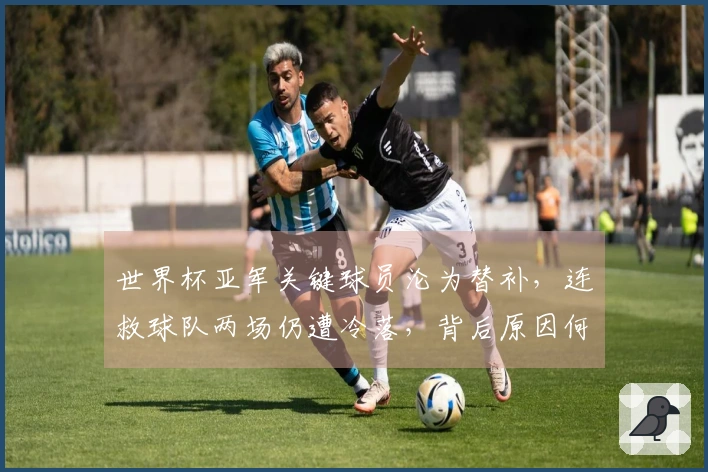 世界杯亚军关键球员沦为替补，连救球队两场仍遭冷落，背后原因何在？